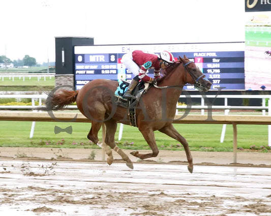 LATIGO - The Nobody Listens - 29th Running - 06-25-25 - R08 - Horseshoe Indiana - Finish 01 - Sammantha Pagels Indiana