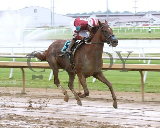 LATIGO - The Nobody Listens - 29th Running - 06-25-25 - R08 - Horseshoe Indiana - Finish 02 - Sammantha Pagels Indiana