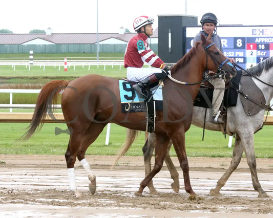 LATIGO - The Nobody Listens - 29th Running - 06-25-25 - R08 - Horseshoe Indiana - Post Parade 01 - Sammantha Pagels