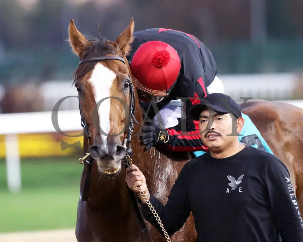 Laughing Boy - 111624 Race 10 Cd Come Back 03 Churchill Downs