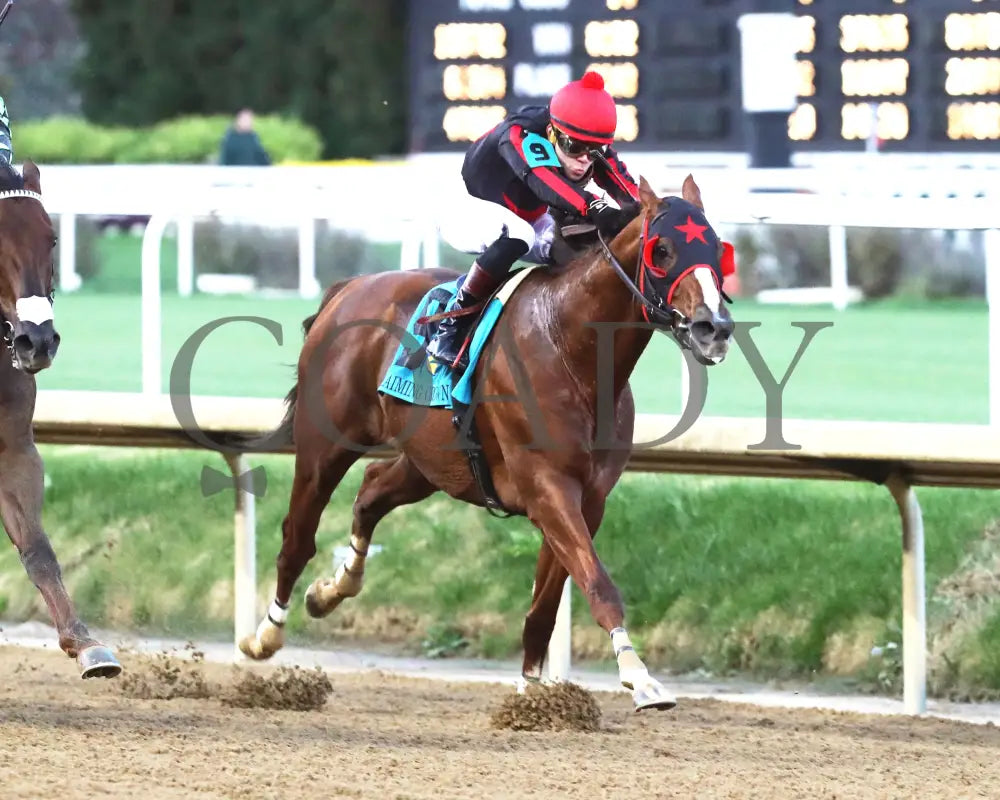 Laughing Boy - 111624 Race 10 Cd Finish 01 Churchill Downs