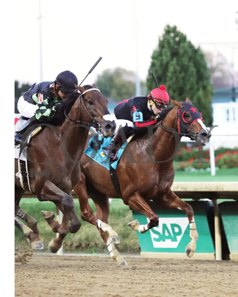 Laughing Boy - 111624 Race 10 Cd Finish 03 Churchill Downs