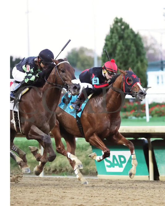 Laughing Boy - 111624 Race 10 Cd Finish 03 Churchill Downs