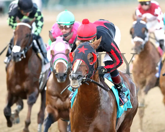Laughing Boy - 111624 Race 10 Cd Inside First Pass 01 Churchill Downs