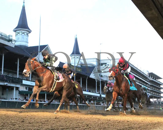 Laughing Boy - 111624 Race 10 Cd Under Rail 01 Churchill Downs