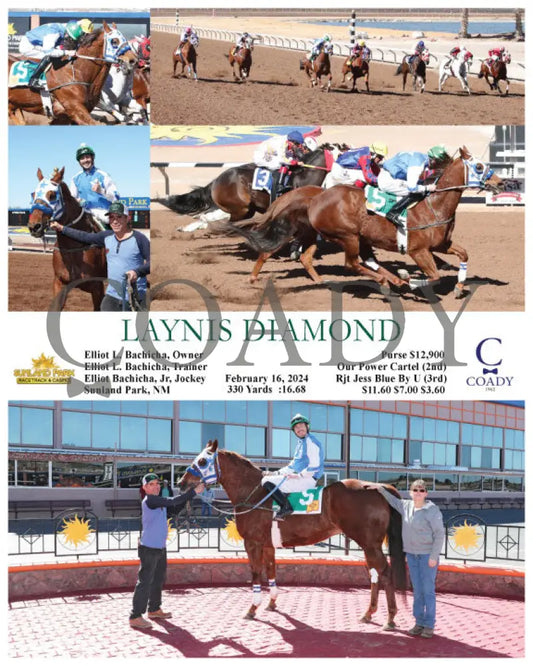 Laynis Diamond - 02-16-24 R03 Sun Sunland Park
