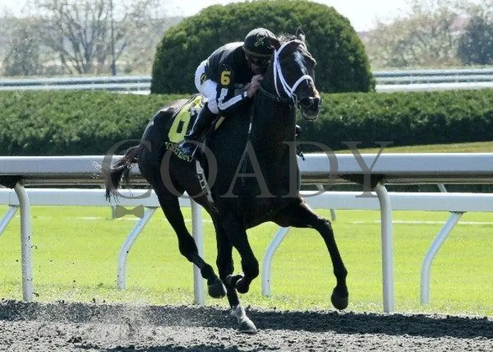 Leander - 4 101611 Race 01 Keeneland