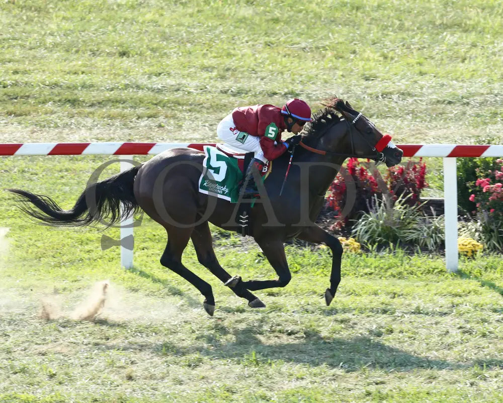 Legends Of War - Nevada State Bank Franklin-Simpson Stakes G3 3Rd Running 09-12-19 R09 Kd Aerial