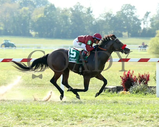Legends Of War - Nevada State Bank Franklin-Simpson Stakes G3 3Rd Running 09-12-19 R09 Kd Finish 01