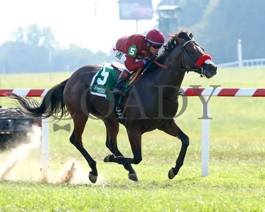 Legends Of War - Nevada State Bank Franklin-Simpson Stakes G3 3Rd Running 09-12-19 R09 Kd Finish 02
