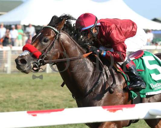 Legends Of War - Nevada State Bank Franklin-Simpson Stakes G3 3Rd Running 09-12-19 R09 Kd Inside