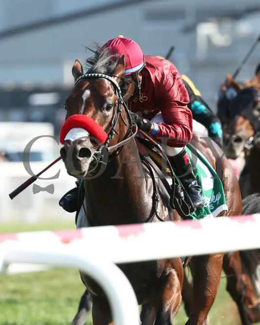 Legends Of War - Nevada State Bank Franklin-Simpson Stakes G3 3Rd Running 09-12-19 R09 Kd Inside