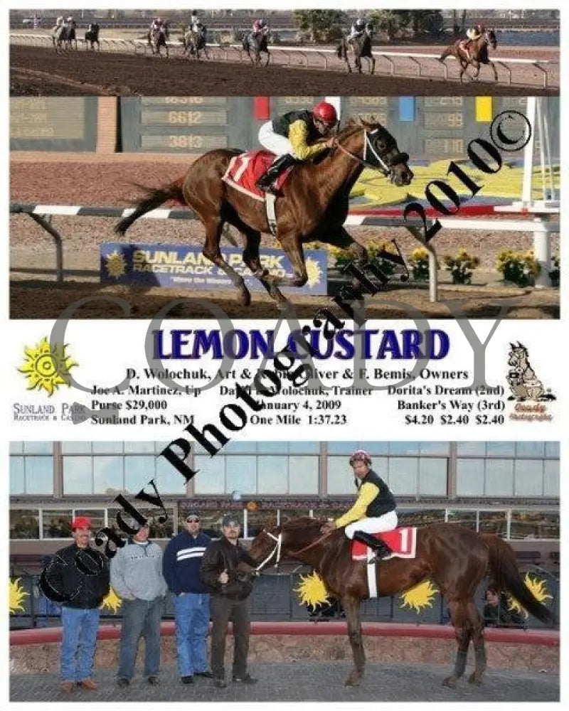 Lemon Custard - 1 4 2009 Sunland Park