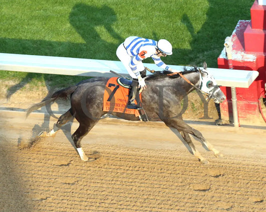 Lemon Muffin - Honeybee Stakes G3 37Th Running 02-24-24 R09 Op Aerial Finish 01 Oaklawn Park