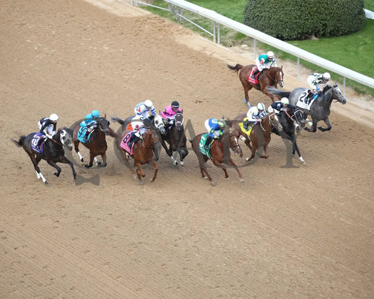 Lemon Muffin - Honeybee Stakes G3 37Th Running 02-24-24 R09 Op Aerial Start 01 Oaklawn Park