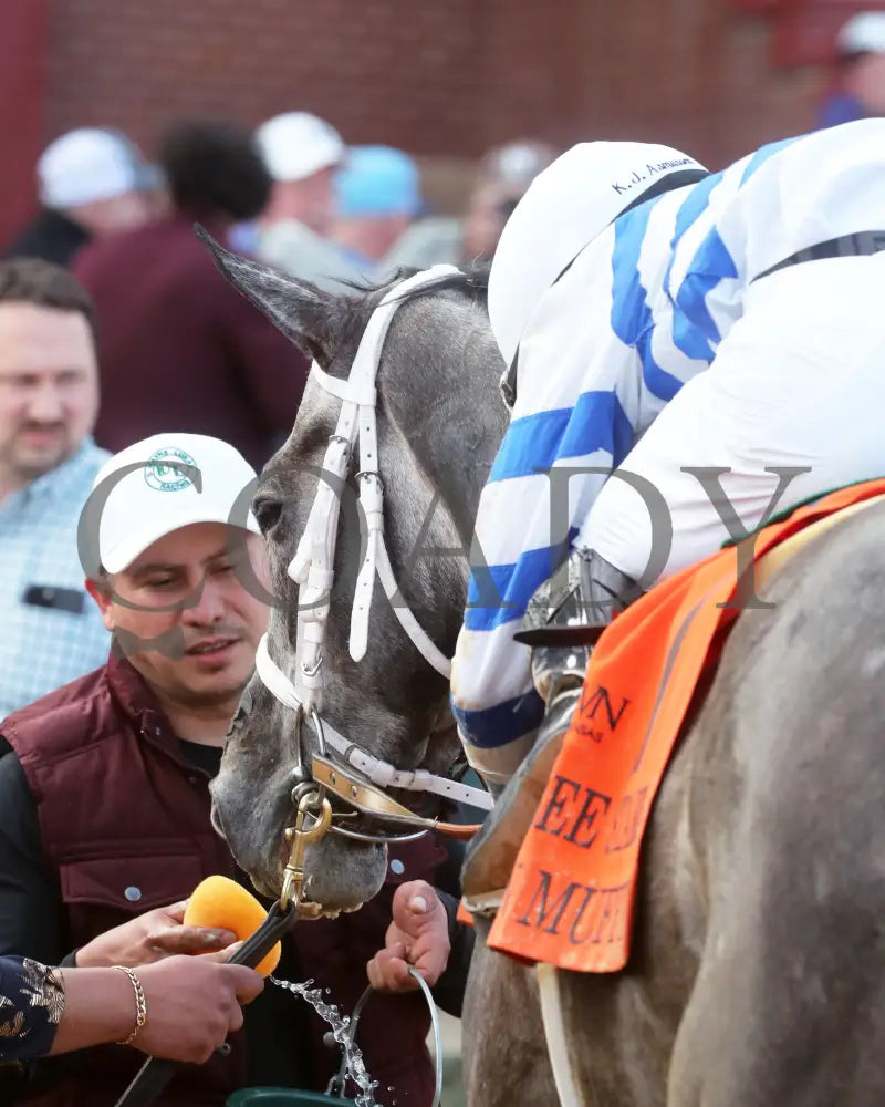 Lemon Muffin - Honeybee Stakes G3 37Th Running 02-24-24 R09 Op Come Back 02 Oaklawn Park