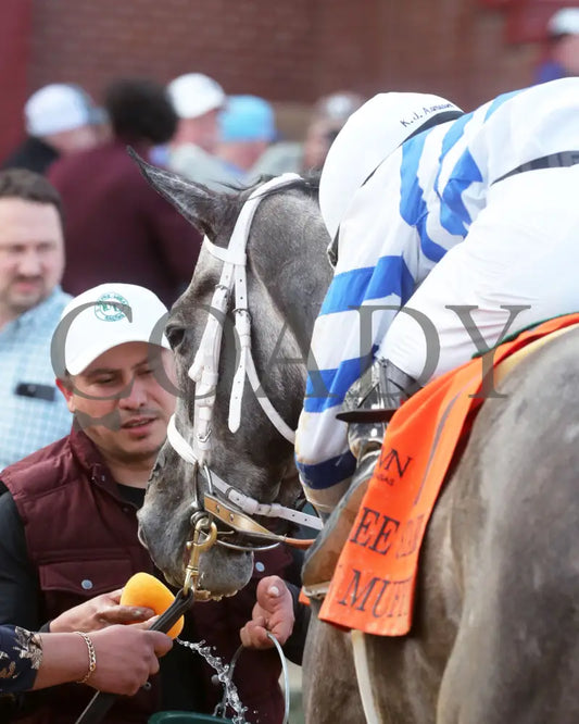 Lemon Muffin - Honeybee Stakes G3 37Th Running 02-24-24 R09 Op Come Back 02 Oaklawn Park