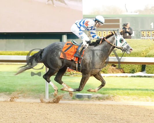 Lemon Muffin - Honeybee Stakes G3 37Th Running 02-24-24 R09 Op Finish 01 Oaklawn Park