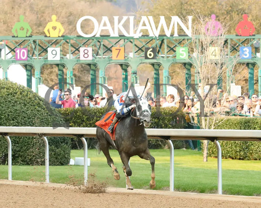 Lemon Muffin - Honeybee Stakes G3 37Th Running 02-24-24 R09 Op Finish 03 Oaklawn Park