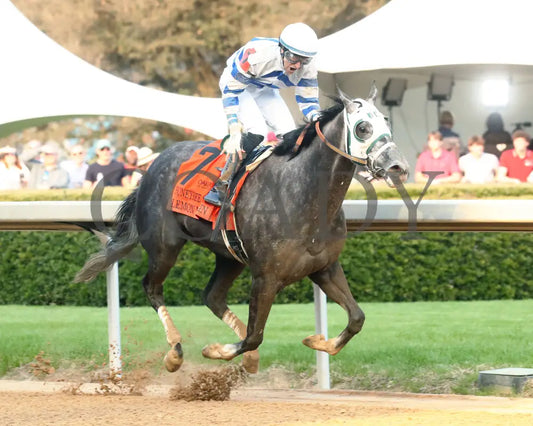 Lemon Muffin - Honeybee Stakes G3 37Th Running 02-24-24 R09 Op Finish 02 Oaklawn Park