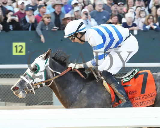 Lemon Muffin - Honeybee Stakes G3 37Th Running 02-24-24 R09 Op Inside Finish 01 Oaklawn Park