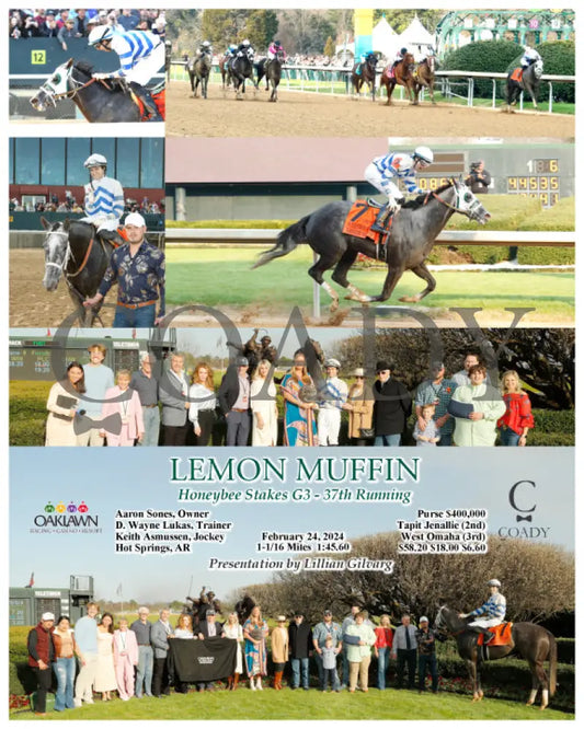 Lemon Muffin - Honeybee Stakes G3 37Th Running 02-24-24 R09 Op Oaklawn Park