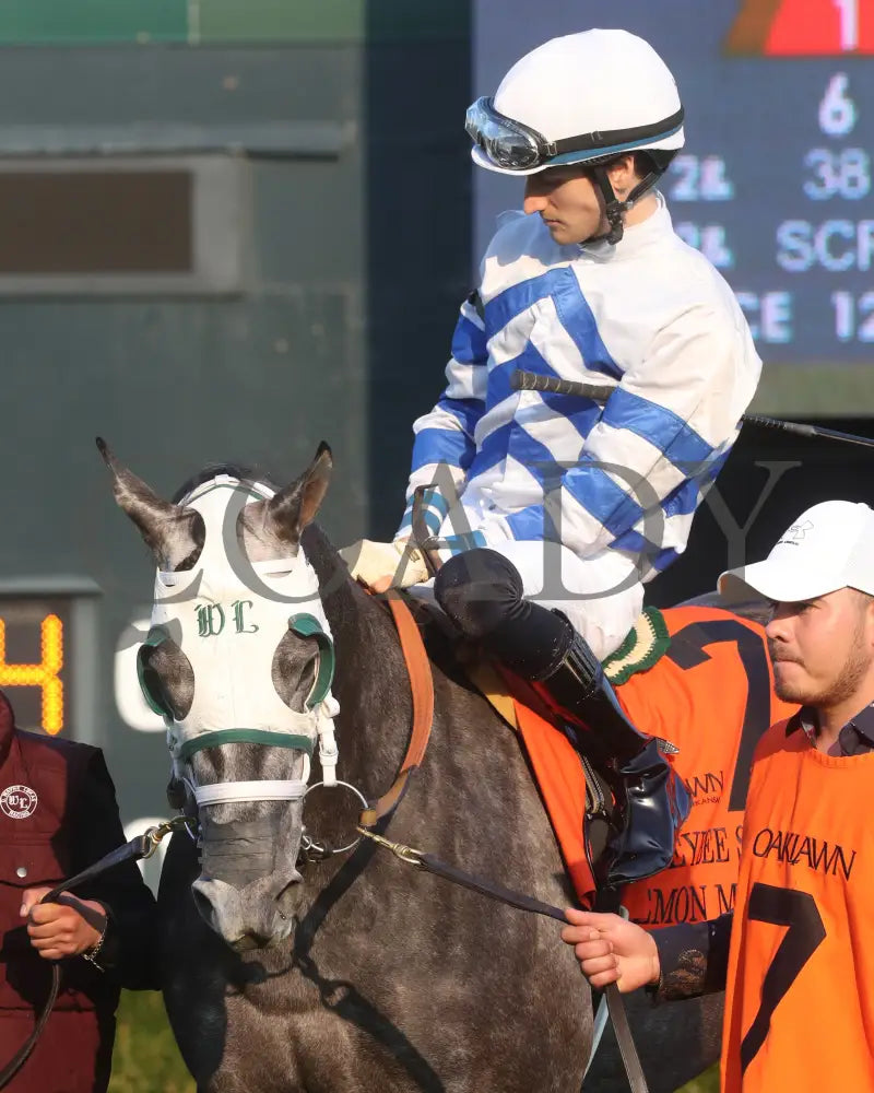 Lemon Muffin - Honeybee Stakes G3 37Th Running 02-24-24 R09 Op Paddock 04 Oaklawn Park