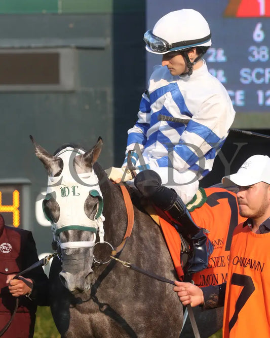 Lemon Muffin - Honeybee Stakes G3 37Th Running 02-24-24 R09 Op Paddock 04 Oaklawn Park