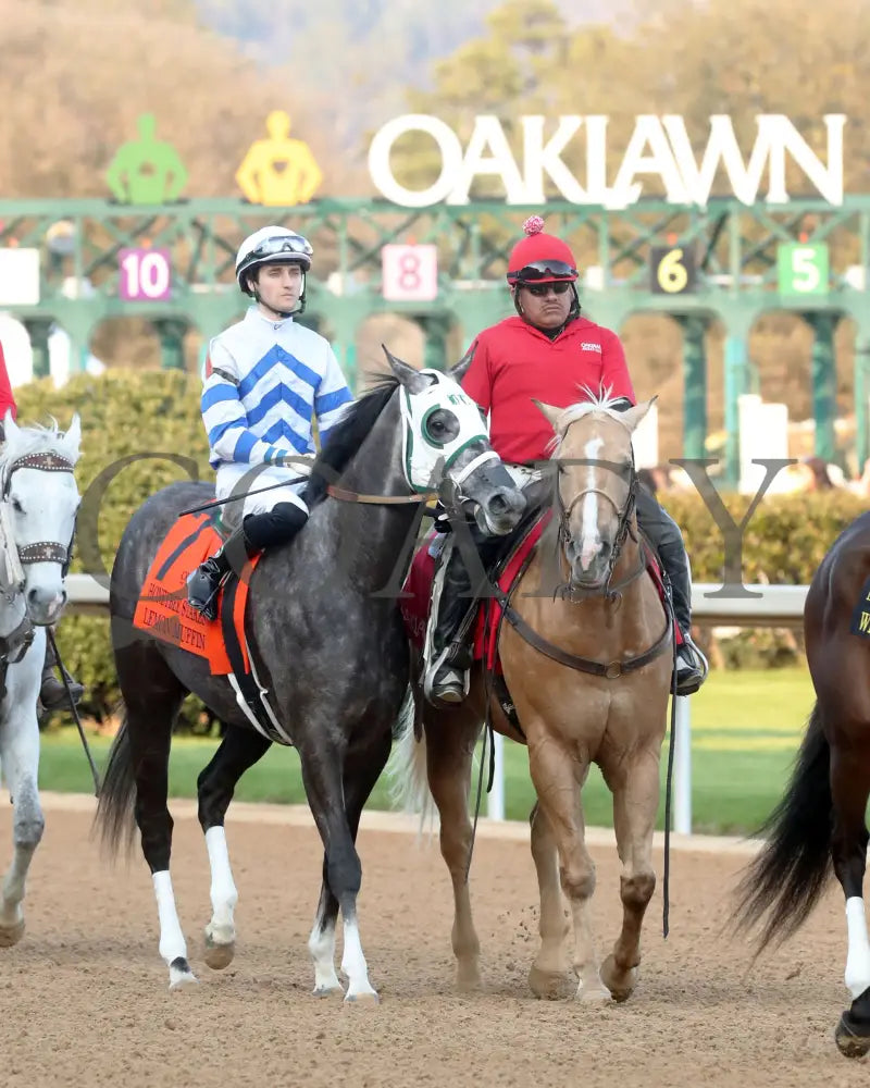 Lemon Muffin - Honeybee Stakes G3 37Th Running 02-24-24 R09 Op Post Parade 01 Oaklawn Park