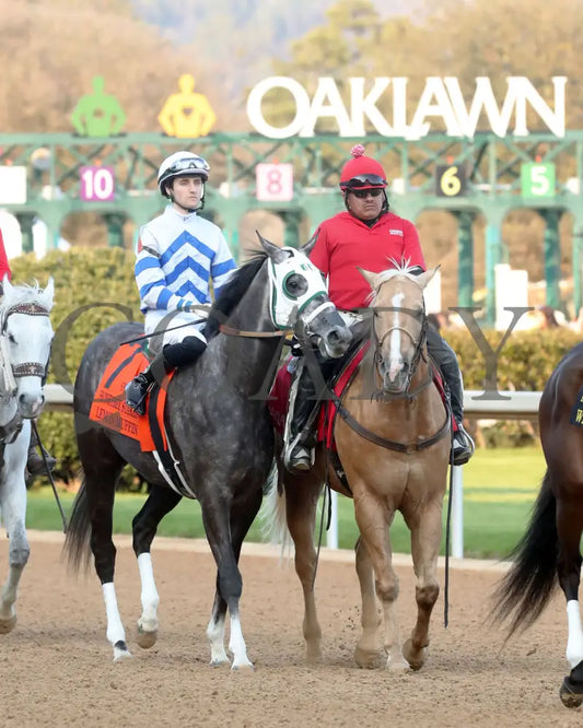 Lemon Muffin - Honeybee Stakes G3 37Th Running 02-24-24 R09 Op Post Parade 01 Oaklawn Park