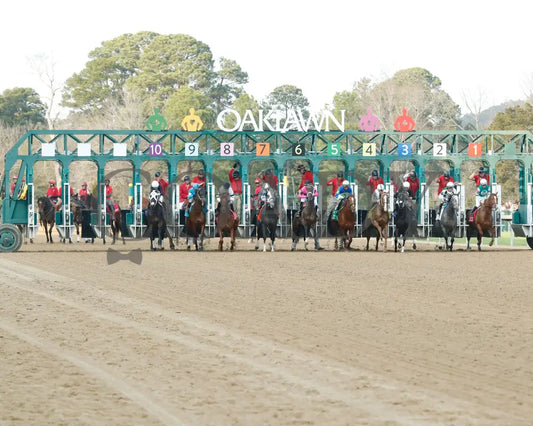 Lemon Muffin - Honeybee Stakes G3 37Th Running 02-24-24 R09 Op Start 01 Oaklawn Park