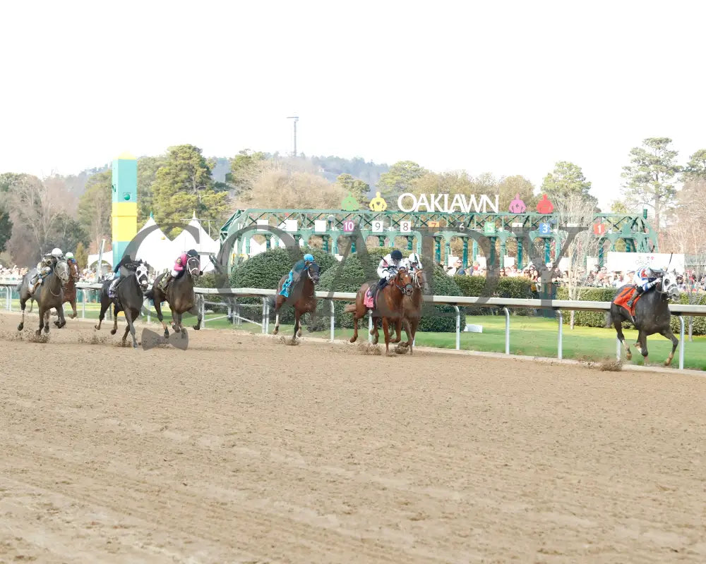 Lemon Muffin - Honeybee Stakes G3 37Th Running 02-24-24 R09 Op Start 03 Oaklawn Park
