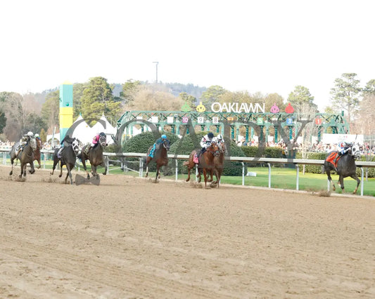 Lemon Muffin - Honeybee Stakes G3 37Th Running 02-24-24 R09 Op Start 03 Oaklawn Park