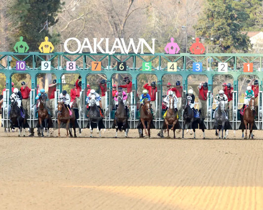 Lemon Muffin - Honeybee Stakes G3 37Th Running 02-24-24 R09 Op Start 04 Oaklawn Park