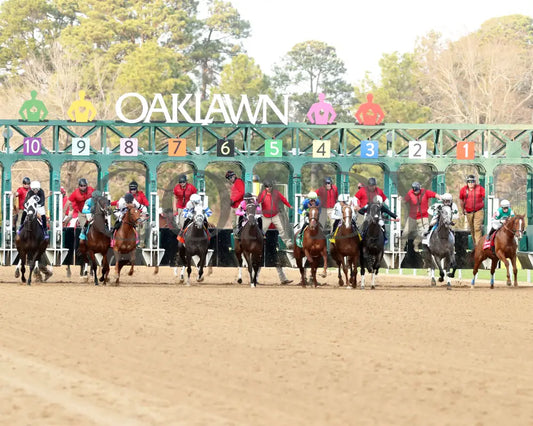 Lemon Muffin - Honeybee Stakes G3 37Th Running 02-24-24 R09 Op Start 02 Oaklawn Park