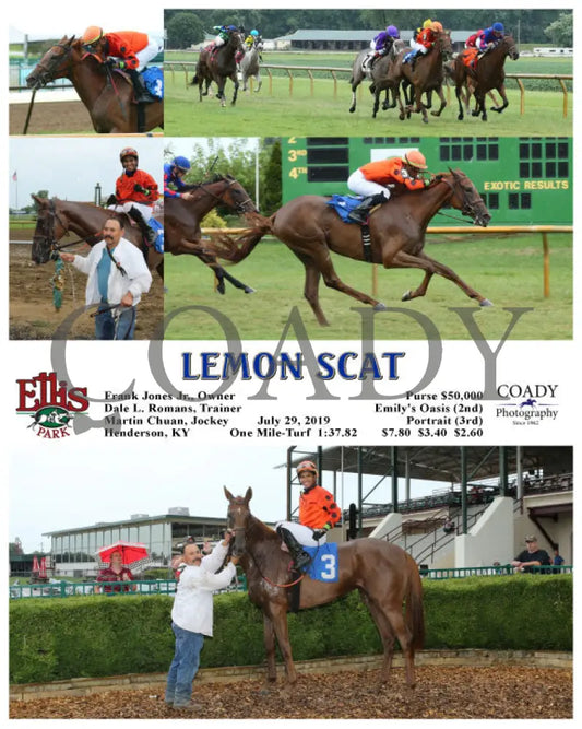 Lemon Scat - 07-29-19 R06 Elp Ellis Park