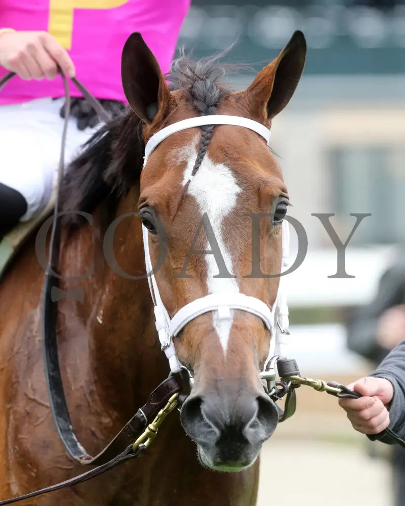 Leslie’s Rose - Central Bank Ashland Stakes 04 - 05 - 24 R09 Kee Head Shot 01 Keeneland