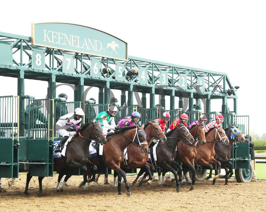 Leslie’s Rose - Central Bank Ashland Stakes 04 - 05 - 24 R09 Kee Start 01 Keeneland