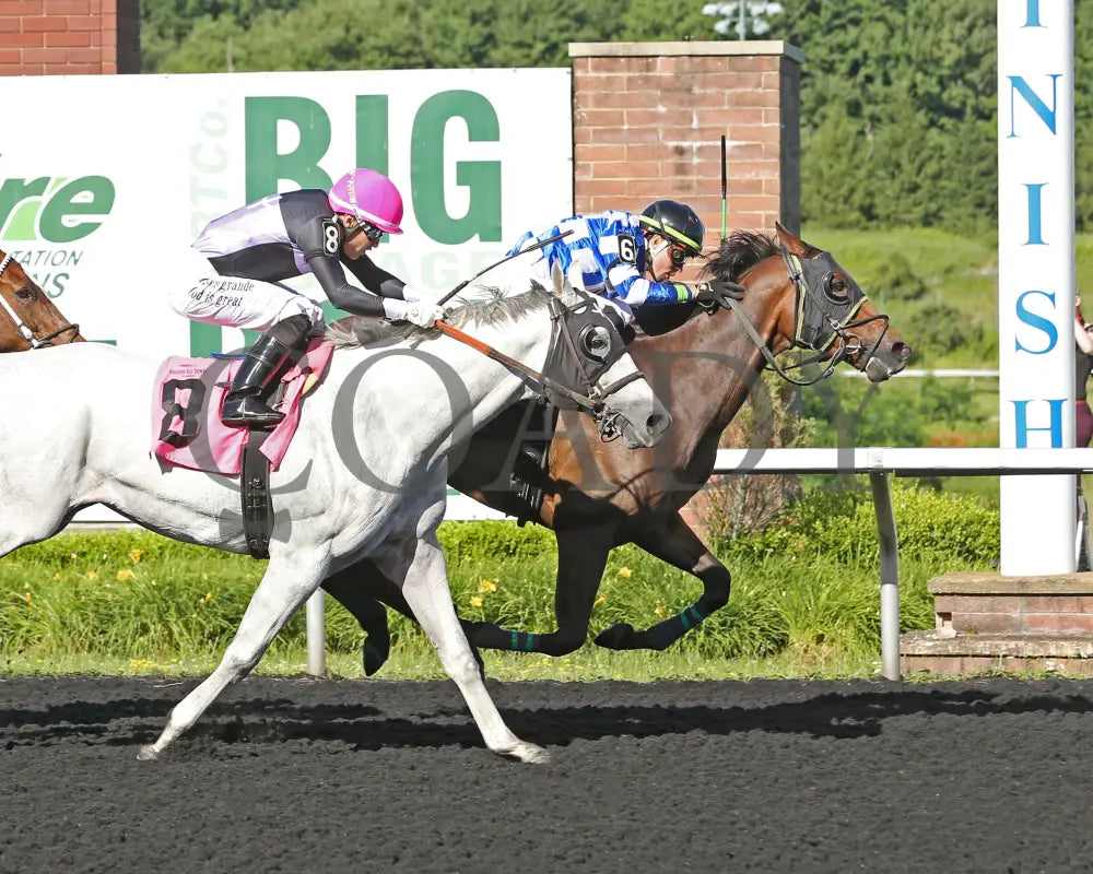 Let My People Go - The Karl Boyes Stakes 18Th Running 07-01-24 R07 Pid Finish Presque Isle Downs