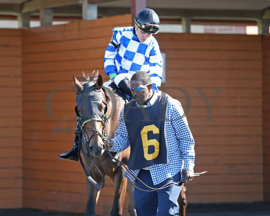Let My People Go - The Karl Boyes Stakes 18Th Running 07-01-24 R07 Pid Paddock 03 Presque Isle Downs