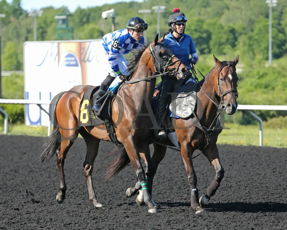 Let My People Go - The Karl Boyes Stakes 18Th Running 07-01-24 R07 Pid Post Parade Presque Isle