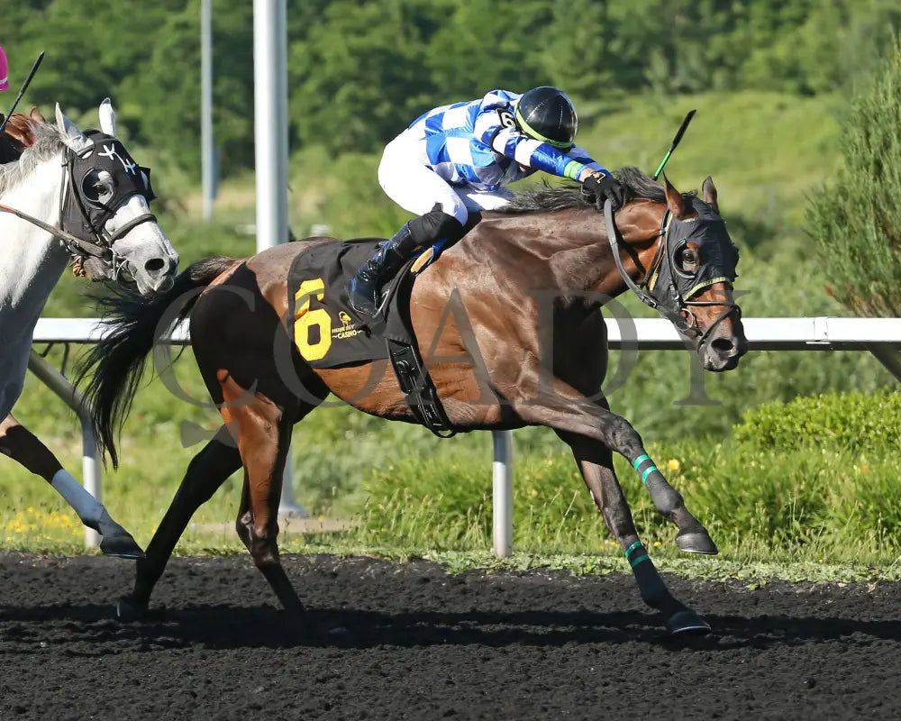 Let My People Go - The Karl Boyes Stakes 18Th Running 07-01-24 R07 Pid Tight Finish Presque Isle