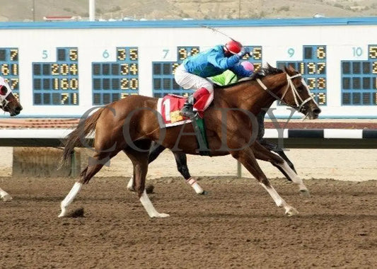 Let The Musicbegin - Russell & Helen Foutz Distaff Sunray Park