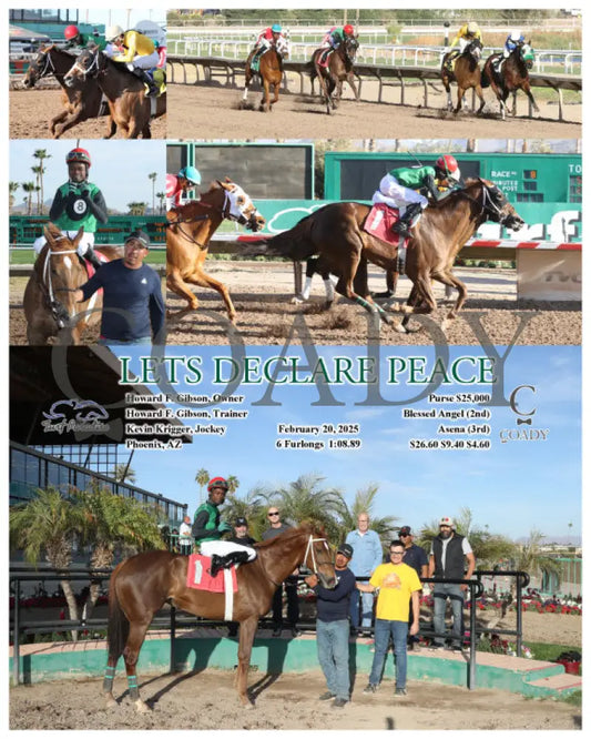LETS DECLARE PEACE - 02-20-25 - R08 - TUP Turf Paradise