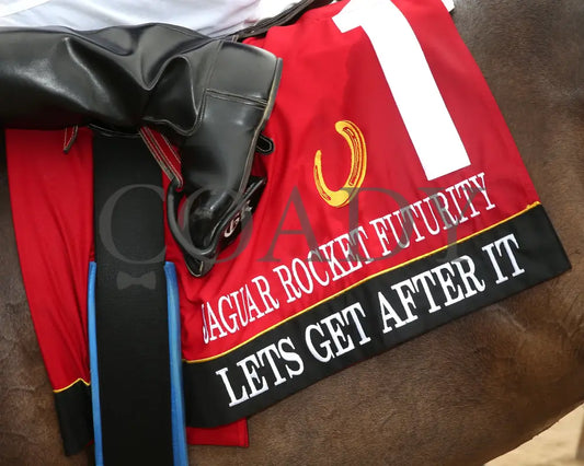 LETS GET AFTER IT - Jaguar Rocket Futurity Final - 23rd Running - 07-19-25 - R06 - Horseshoe Indiana - Saddle Towel 01