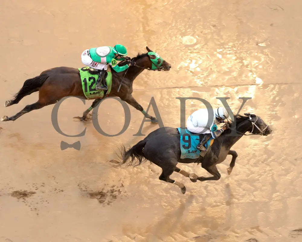 LIBERAL ARTS - The Knicks Go Overnight Stakes - 05-03-25 - R04 - CD - Aerial Finish 01 Churchill Downs