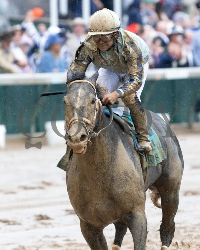 LIBERAL ARTS - The Knicks Go Overnight Stakes - 05-03-25 - R04 - CD - Inside Finish 01 Churchill Downs