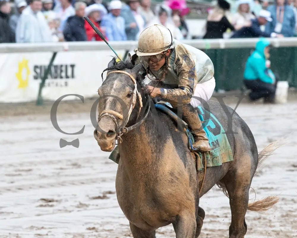 LIBERAL ARTS - The Knicks Go Overnight Stakes - 05-03-25 - R04 - CD - Inside Finish 02 Churchill Downs