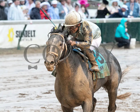 LIBERAL ARTS - The Knicks Go Overnight Stakes - 05-03-25 - R04 - CD - Inside Finish 02 Churchill Downs