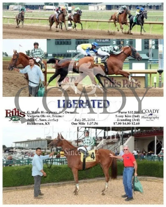 Liberated - 072514 Race 07 Elp Ellis Park